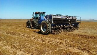 Tempo contribuiu para acelerar o plantio do arroz para 816.427 hectares semeados