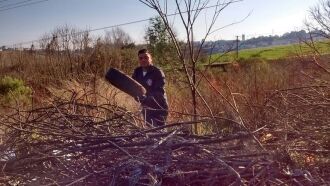 Mais de mil pneus foram eliminados nas visitas da Vigilância Ambiental