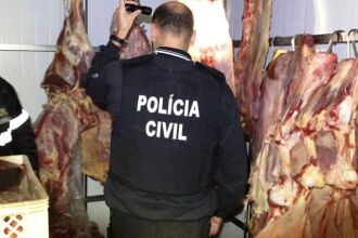 Mais de 2,5 toneladas de carne imprópria para o consumo foram apreendidas