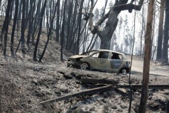 Incêndio florestal de grandes proporções atinge o nordeste de Portugal