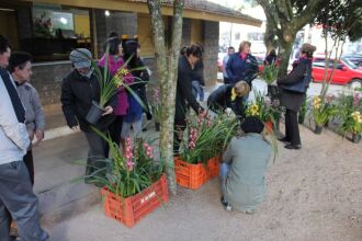 Flores são produzidas no município