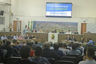 Audiência pública resultou na criação de um grupo de trabalho para levar adiante as discussões acerca da necessidade de uma legislação atualizada e coerente