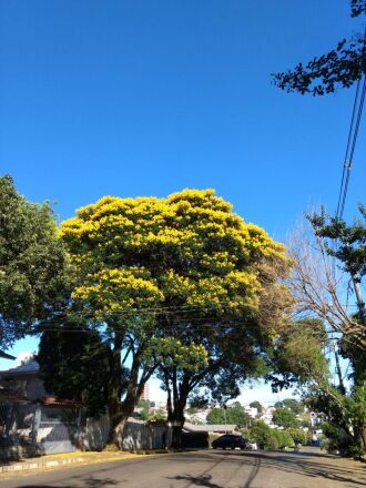 Calor dá espaço para chuva e dias com nebulosidade no feriadão