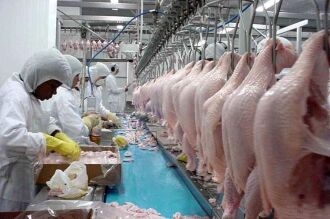 Exportação de carne de frango teve queda de mais de 30% em 2018 na comparação com o ano passado