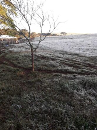 Os campos da propriedade de João Carlos dos Santos, na Estrada do Trigo, amanheceram cobertos de gelo na quinta-feira