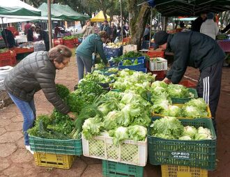 Feira Ecológica proporciona sustento para quem produz e saúde para quem consome