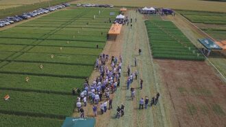 O dia de campo da Biotrigo ocorre anualmente na região e já é tradição no calendário gaúcho de eventos agrícolas.