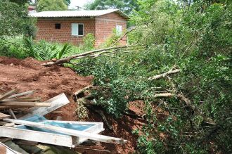 Aterro destruindo a vegetação de área úmida com a derrubada deárvores nativas