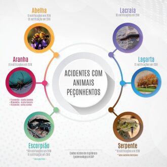 Infográfico Dados Joseane