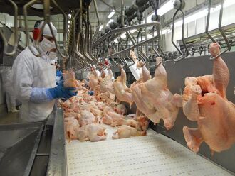 As 25 plantas industriais responderam, no ano passado, a 63% do volume das exportações de frango