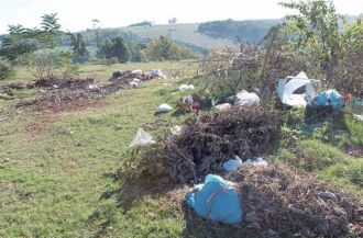 Descarte irregular é comum em áreas verdes da cidade