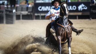 Como tradicionalmente ocorre, no primeiro domingo da Expointer tem a final do Freio de Ouro, competição organizada pela ABCCC