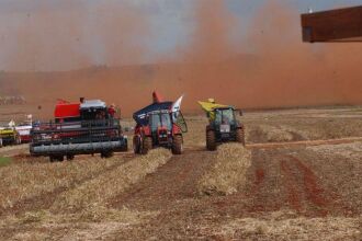 Segundo prevê o IBGE safra terá queda no próximo ano