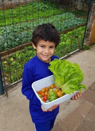 Hortas nas escolas fazem parte da educação alimentar