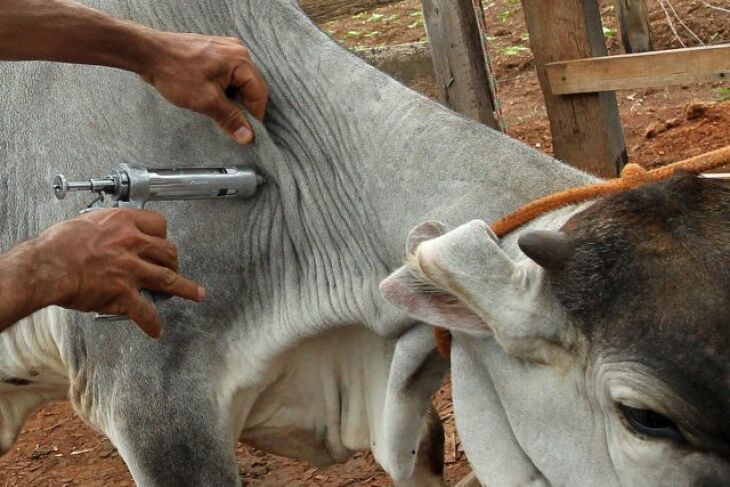 Foto: Arquivo/ Agência Brasil 