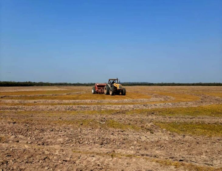 Preparativos para o plantio da safra de arroz 2020/2021 estão em andamento em diferentes regiões (Foto: Divulgação Irga)