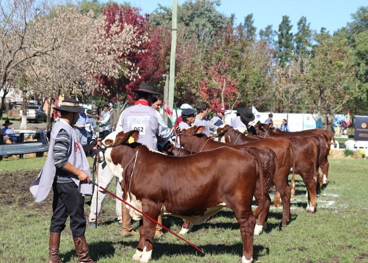 Foto - Everton Marita/La Rural Fotografia-ABHB