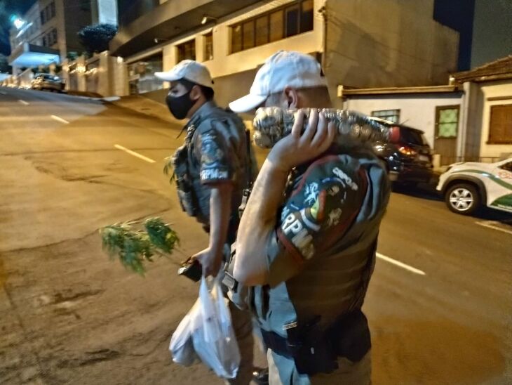 Além de drogas, policias encontraram garrafas cheias de moedas (Foto: Divulgação/Brigada Militar)