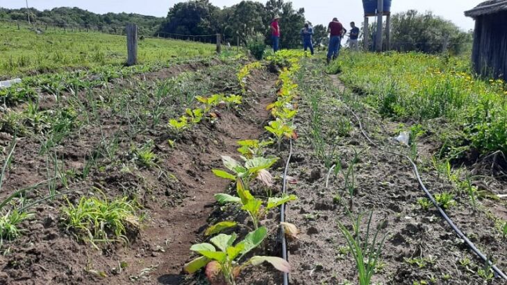 Projetos nas áreas de agricultura familiar, agroindústrias familiares, bovinocultura de leite, correção do solo tiveram destaque (Foto: Divulgação)