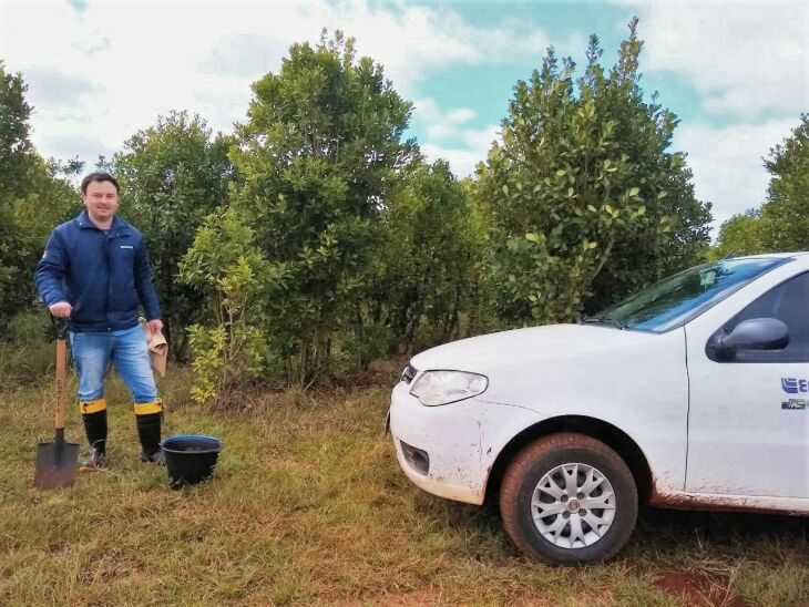 Diagnóstico é trabalho conjunto da Emater/RS-Ascar e do Departamento de Diagnóstico e Pesquisa Agropecuária da Seapdr (Foto: Divulgação/Emater)