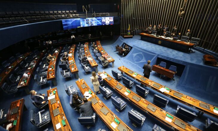 As sessões plenárias voltam a ser somente virtuais a partir da próxima semana  (Foto: Fabio Rodrigues Pozzebom/Agência Brasil)