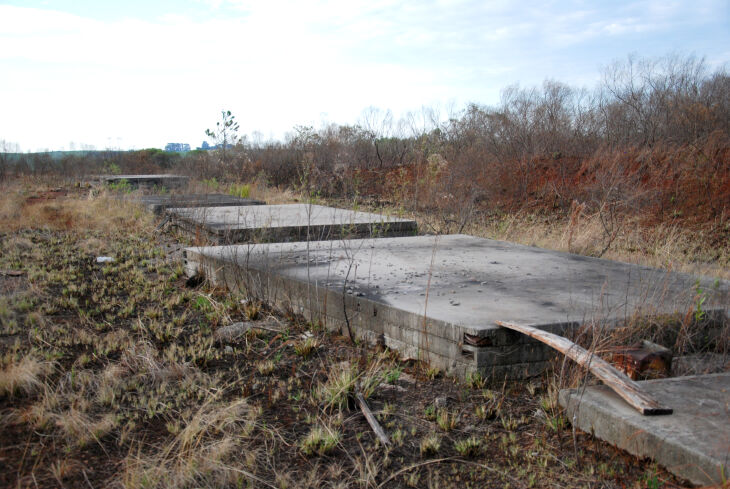 Obra será construída às margens da BR 285 próxima à divisa com Carazinho (Foto: Gerson Lopes/Arquivo ON)