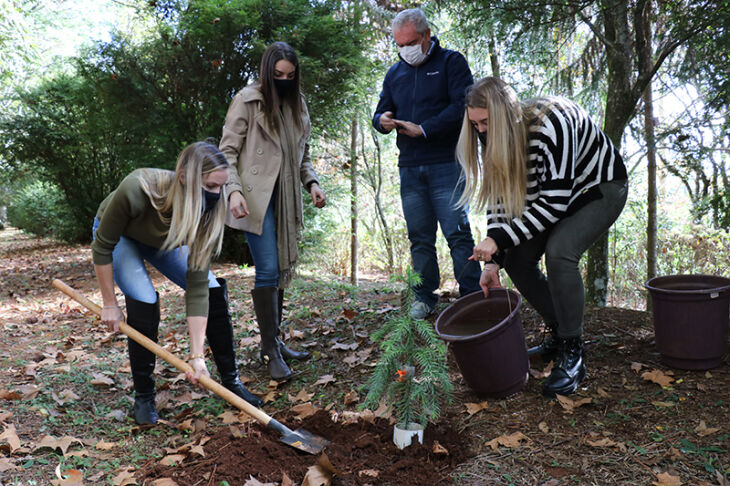 Pinheiro é símbolo das turmas que encerram o ciclo de formação (Foto: Camila Guedes/UPF)