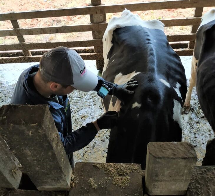 Aplicativo foi projetado para agilizar a vida do médico veterinário habilitado para fazer o teste de tuberculose nos animais (Foto: Carlos Miguel De Bastiani)