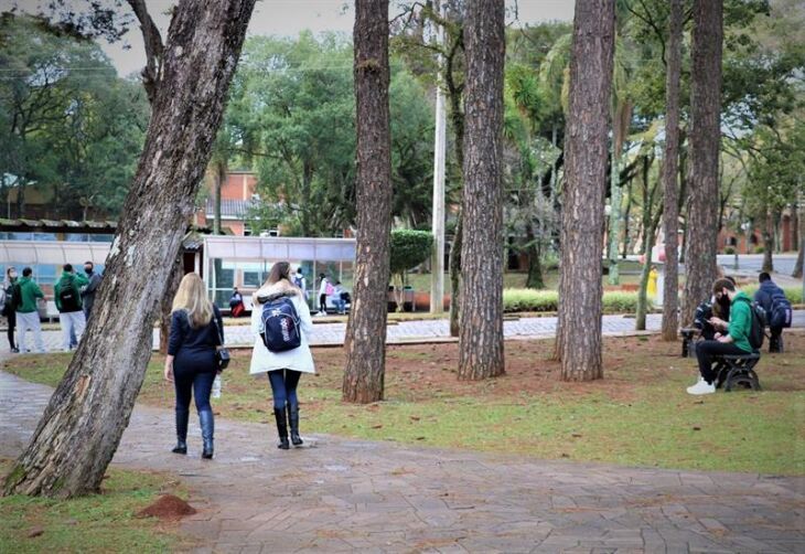 Foto: Divulgação/UPF