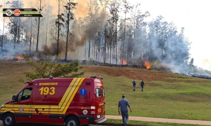 As causas da fatalidade ainda estão sendo investigadas (Foto: Corpo de Bombeiros/PMESP)