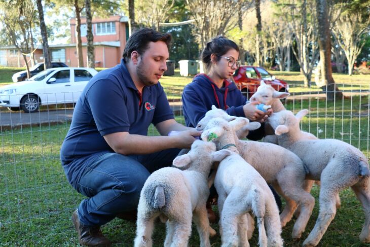 UPF dispõe de uma estrutura qualificada que possibilita atividades práticas desde o primeiro semestre (Fotos: Jéssica França e Leonardo Andreoli)