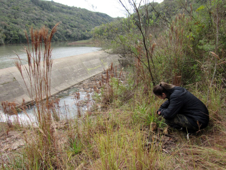 Thais Ascoli Morrete trabalha com consultoria ambiental (Foto: Arquivo pessoal)