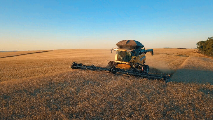 Produtores regionais contabilizaram uma produtividade de 3.690 kg/ha (Foto: Divulgação Biotrigo/Guilherme Geller)