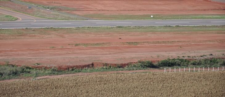 Em um lado da pista a cerca vai somente até a metade  - Fotos – LC Schneider-ON