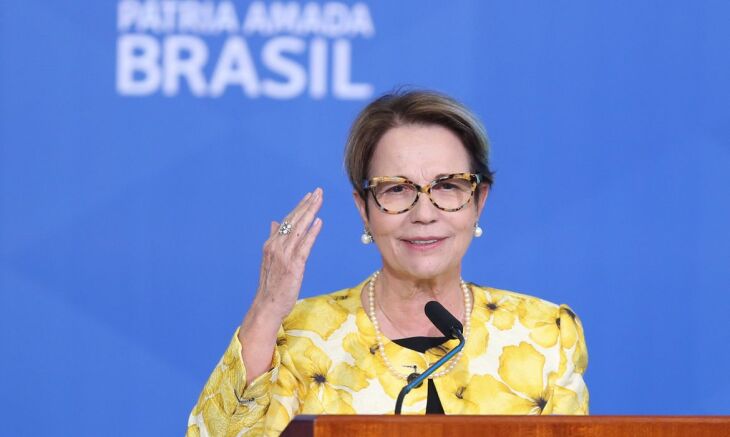 Reunião on-line com a ministra Tereza Cristina aconteceu no início da tarde desta quinta-feira (10) (Foto: Expodireto/Divulgação)