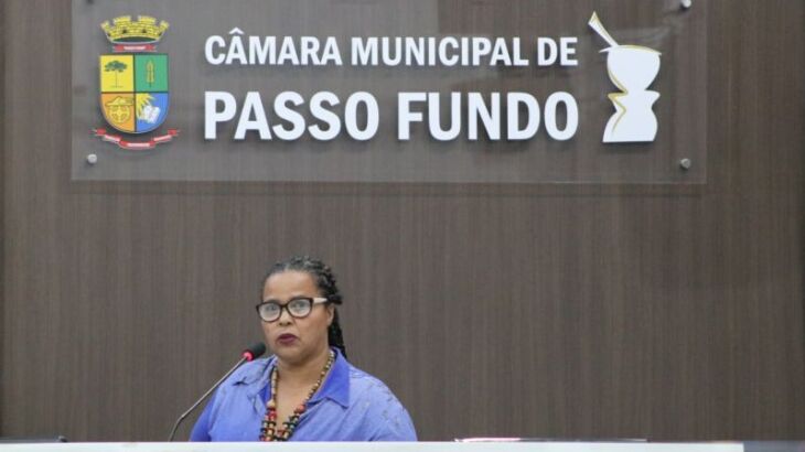 Foto: Comunicação/Câmara de Vereadores de Passo Fundo