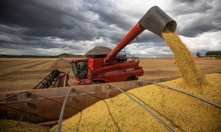 O índice da área colhida  elevou-se, em uma semana, de 55% para 68% da área cultivada - Agência Brasil