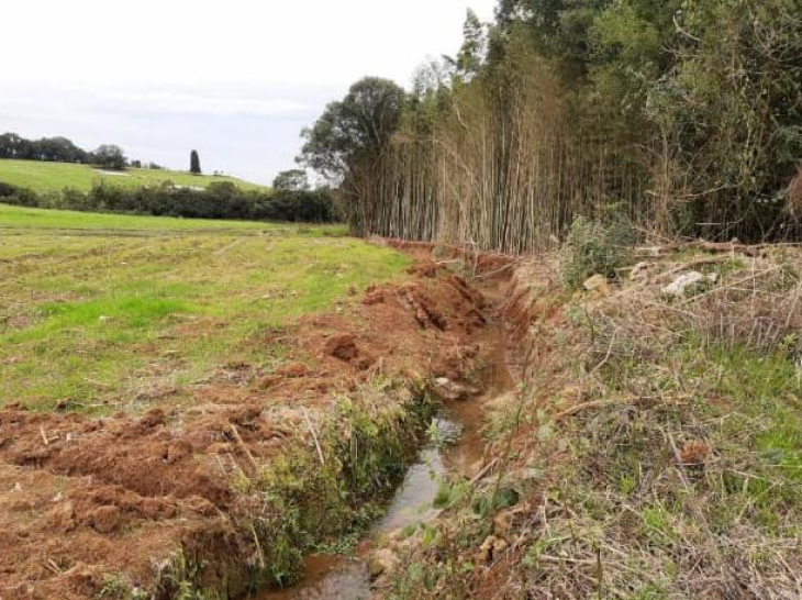 Foto: Divulgação/Batalhão Ambiental