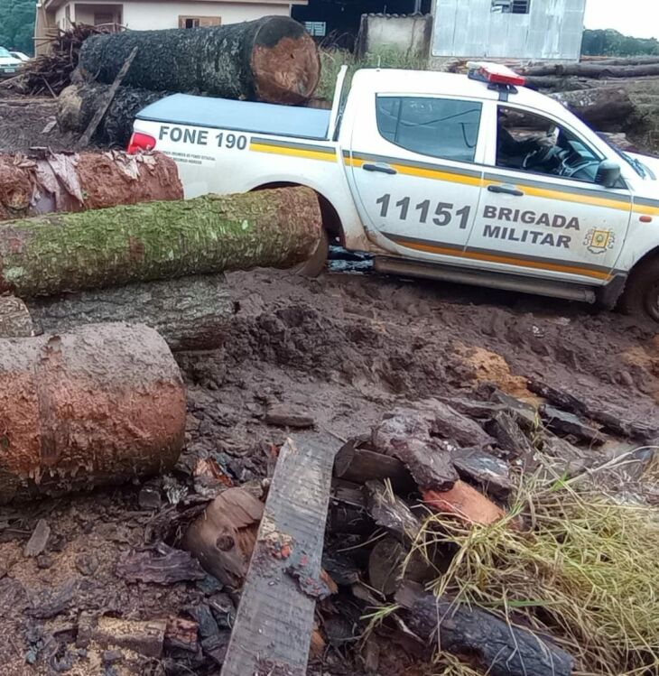 Policiais encontraram madeira de várias espécies, entre elas, 10 toras de araucária - FOTO Batalhão Ambiental