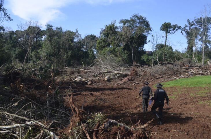 Flagrantes aconteceram em Vicente Dutra e Caiçara - Foto - Divulgação Batalhão Ambiental