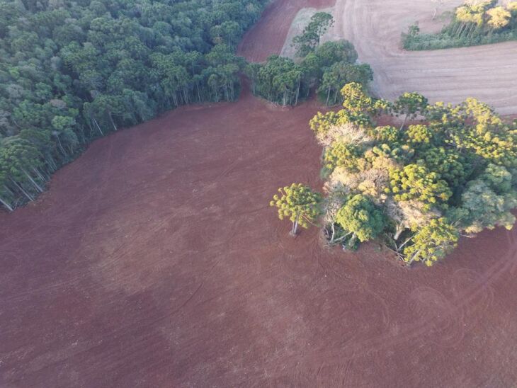 Imagens aéreas registraram o dano ambiental nas propriedades - Foto Batalhão Ambiental - Divulgação 