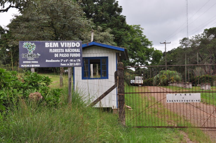 Parecer técnico aponta que o trânsito de veículos dentro da floresta prejudica a preservação da biodiversidade do local. (Foto: Gerson Lopes/ON)