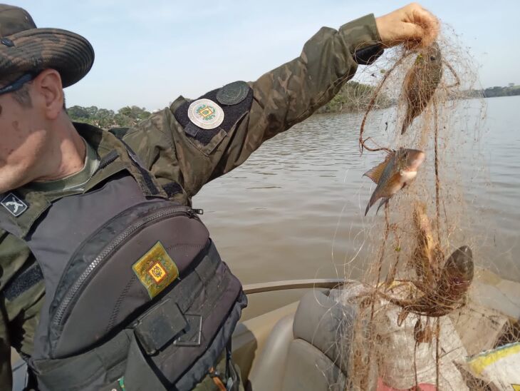 Peixes de várias espécies presos às redes foram soltos novamente na água - Foto Batalhão Ambiental