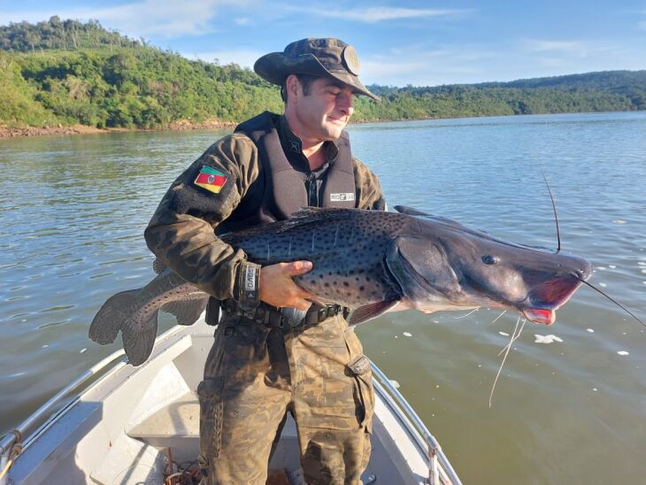 Surubim preso às redes foi salvo e devolvido ao ambiente aquático - FOTO BATALHÃO AMBIENTAL