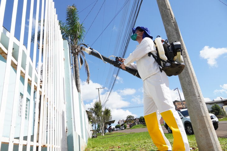 Em Passo Fundo controle da proliferação do mosquito da dengue segue 