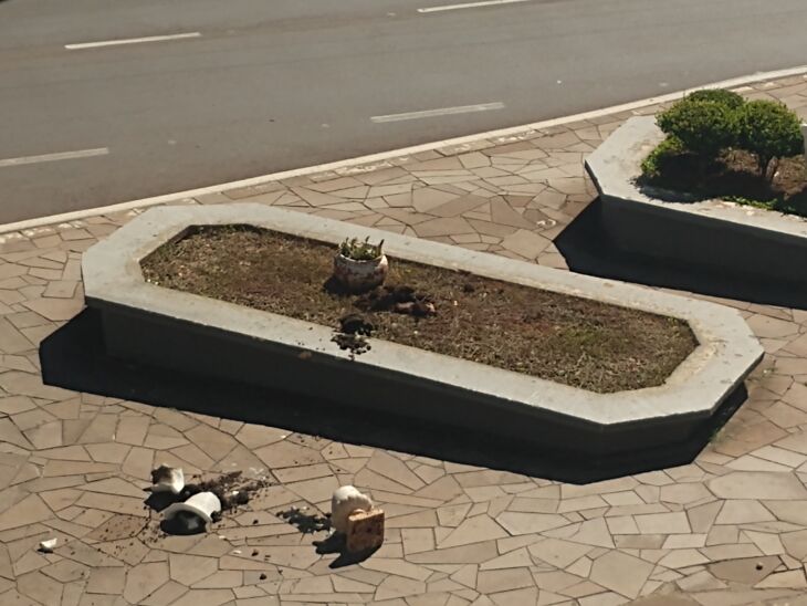 Floreira depredada na Avenida Brasil – Foto-LC Schneider-ON