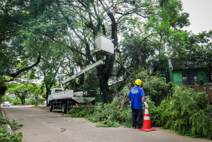 Equipes da prefeitura da Capital tiveram muito trabalho durante toda a manhã para retirada de árvores caídas