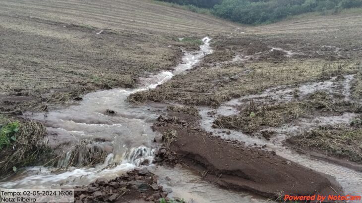  Safra da soja teve 2,71 milhões de toneladas perdidas com as chuvas  FOTO - EMATER/ DIVULGAÇÃO 