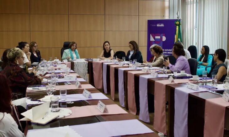 Reunião ocorreu na sexta-feira - Foto-Ministério das Mulheres