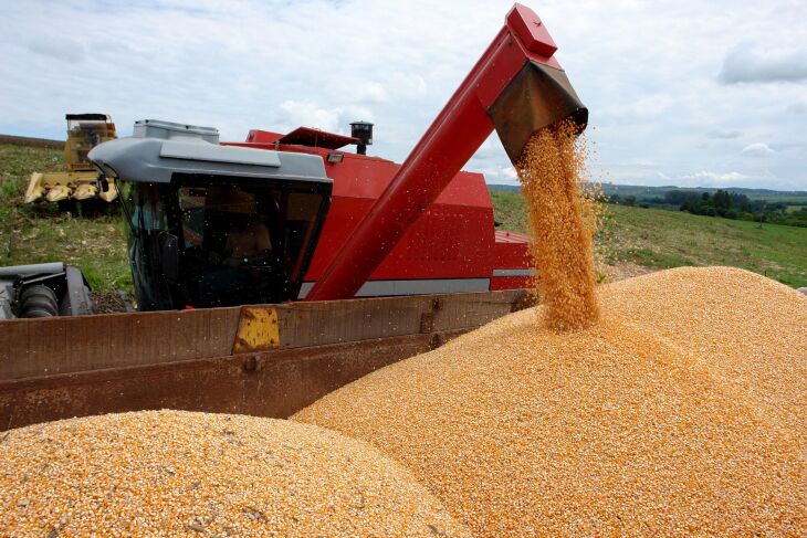 A área destinada ao plantio está estimada em 10,4 milhões de hectares, um crescimento de 1% Foto: Olímpio Pereira de Oliveira - Embrapa